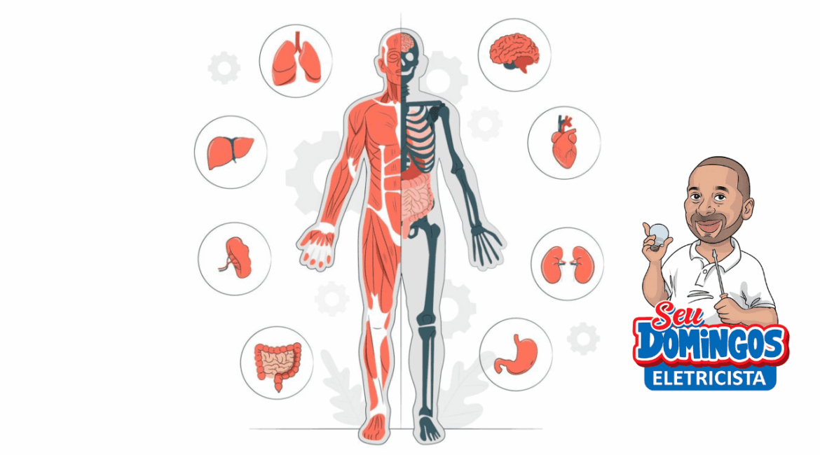 Choque elétrico - Seu Domingos Eletricista