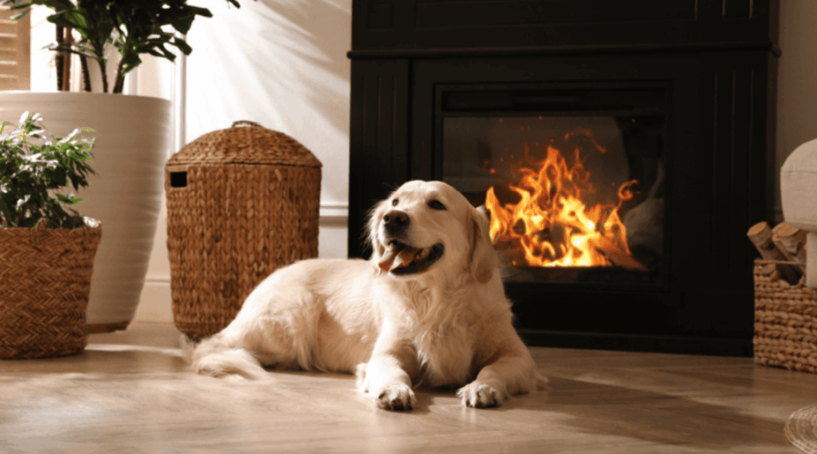 Aquecedor elétrico de lareira