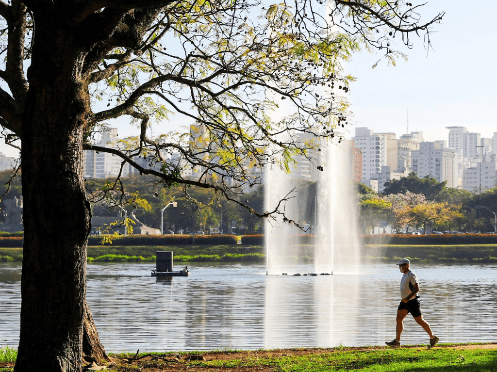 Parque Ibirapuera