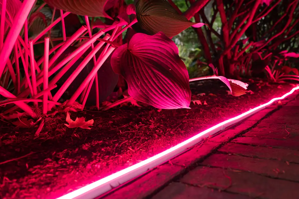 melhores opções de iluminação externa inteligente para quintais