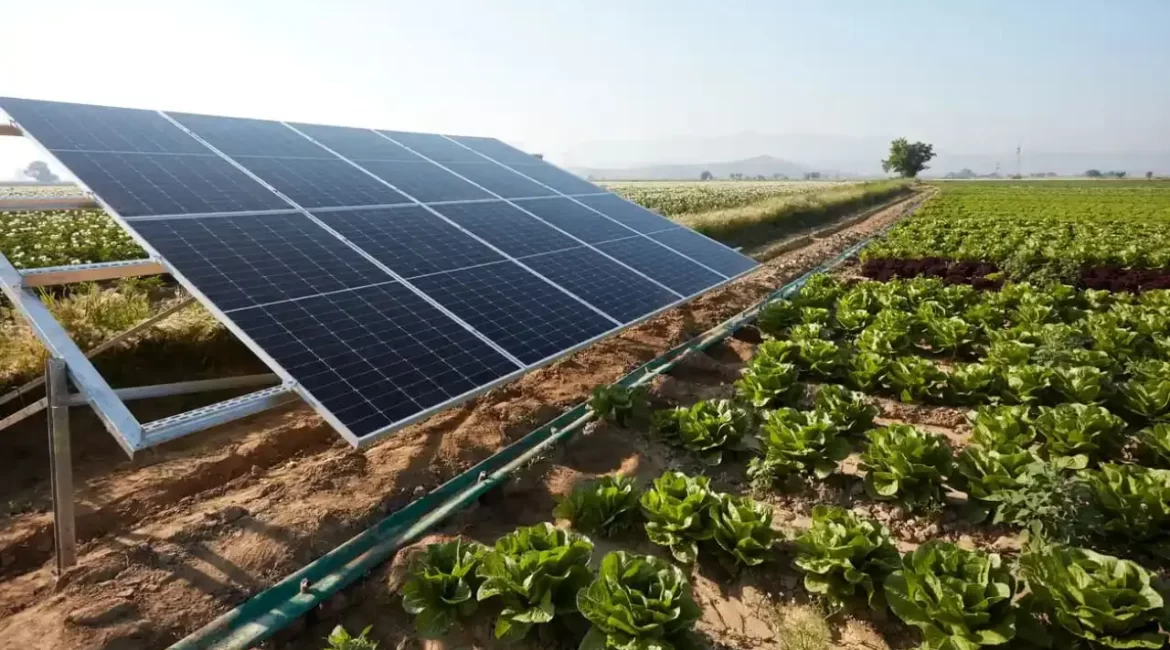 Painéis solares instalados em uma fazenda gerando energia limpa para uma horta sustentável